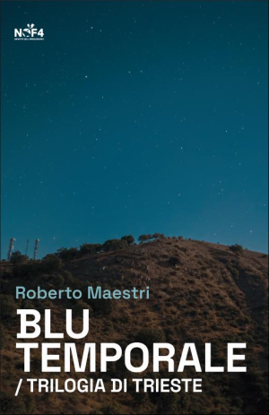 r-m-roberto-maestri-blu-temporale-2.jpg