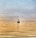 r-m-roberto-maestri-i-versi-che-non-ho-scritto-8.png